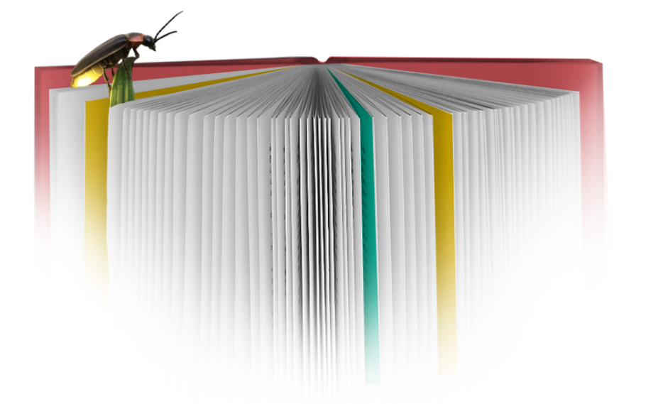 Libro abierto con una luciérnaga